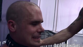 Pup like Cullen Cable is in pain with clothespins all over his naked body