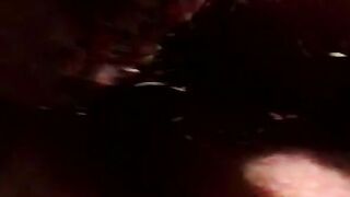 Rock hard hairy cock amateur gets hot passionate blowjob