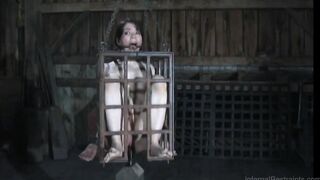 Caged sub anally impaled