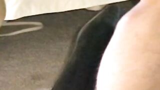 A DVD Special Feature Steve Pierce's Home Movies Steveand Bud Scene also features Bud