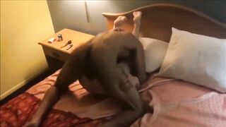 Fit ebony bro is licking and fucking her snatch