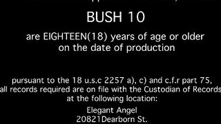 Paige Owens - Bush Vol. 10