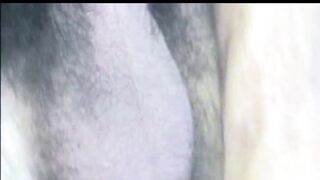Hector HD gay Porn