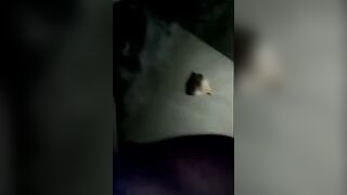 Arabian Gay Interracial Blowjob