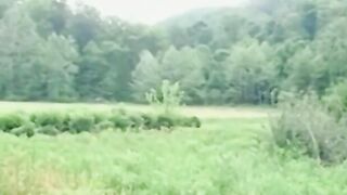 Solo cock wanking with tattooed stud who jerks off his dick