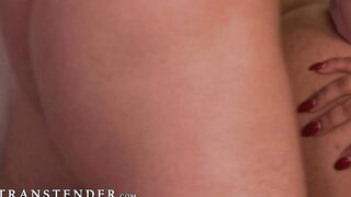 TransTender.com - Big boobs Jessy Dubai gets anal pounding by Roman Todd