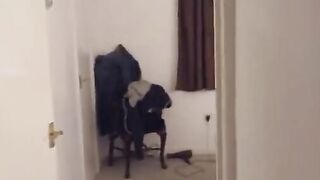 Argentinierin mit Traumkaarper oral und vaginal