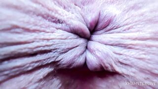 Asshole intense closeup