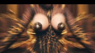 WAP PMV