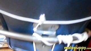 Devin Jones struggles to free himself with his cock swelling and swinging around