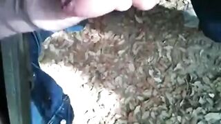 Bearded Man Masturbating Outdoors