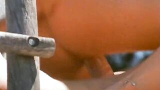 red head pounded outdoor