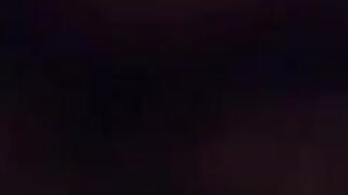 Amateur Bears Home Video
