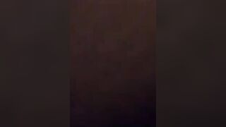 Amateur Bears Home Video