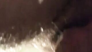 Amateur Bears Home Video