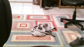 Fat Daddy Strips and Strokes on Webcam