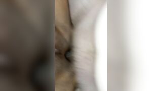 Getting my brown bbw booty banged! & filled...