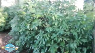 Riskanter Sex im Hotelgarten