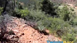 Wild twinks answer mating call and breed rough in Nature