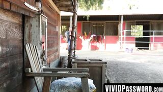 VividPassword.com - Busty babe Missy Martinez bound and enjoying thick cock