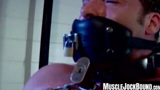 MuscleJockBound.com - Muscular man silenced with a ball gag while being heavily chain