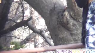 NipponSexTV.com - Gorgeous Japanese babes flash their sweet tits in public for voyeur
