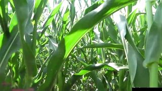 Big Tit chick picked up and fuck inside the field