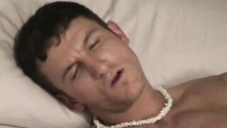 Paul S Morning Wood