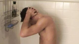 Paul S Morning Wood