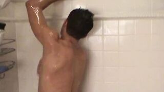 Paul S Morning Wood