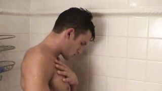 Paul S Morning Wood