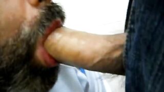 Amateur Bear Daddy Sucking Cock