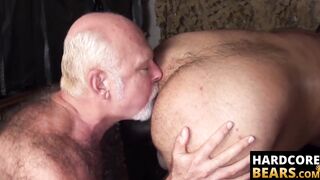 HardcoreBears.com - Young cub Lanz Adams bangs intensely with mature bear Chuck Colli