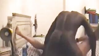 Big Black Cock Fucks White Amateur