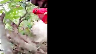 Ganv ke jhadi me chudayi