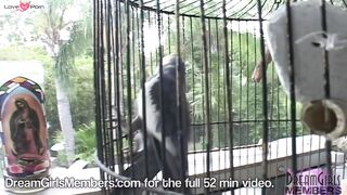 "Sex in Paradise - Tall Hotties Share Their Big Dicks"