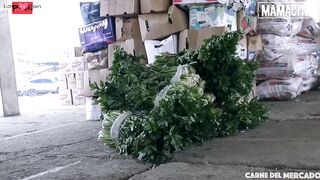 chubby hispanic Xiomara Soto picked up to got plowed