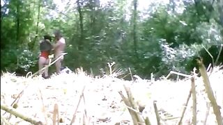 from where came this curious noise into the park