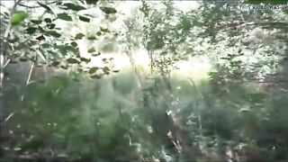 from where came this curious noise into the park