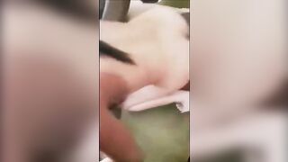 White bimbo gets banged by 2 bbc