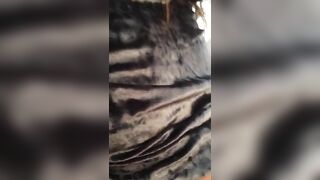 Turkish Amateur Oral Sex
