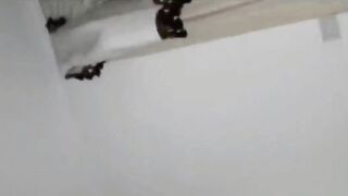Crazy red head Beauty loving big penis