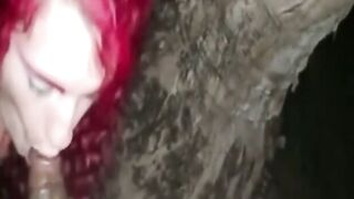 Interracial Blowjob in the Great Outdoors