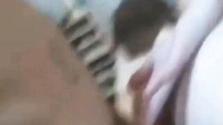 22yo Amateur Pussy Fisted on Webcam