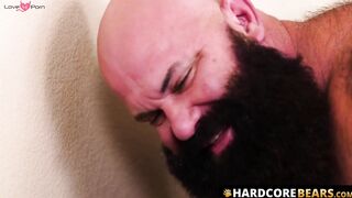 HardcoreBears.com - Bear enjoys pounding from equally hung masculine bear stud vigoro