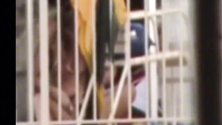 Encoxadajoin/Fanencoxadacum Best Encoxada Grope Cum Dickflash Girl Public